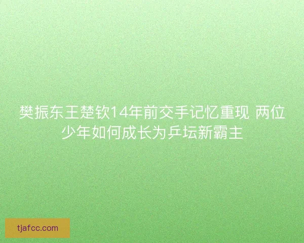 樊振东王楚钦14年前交手记忆重现 两位少年如何成长为乒坛新霸主